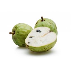 Chirimoya

Die Cherimoya
