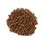 Choco Krispies-detalle