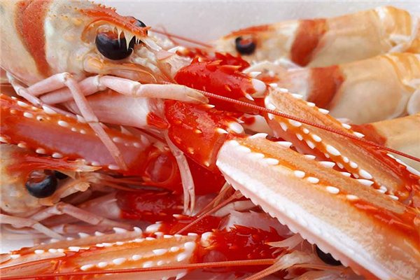 Cigala de Huelva-detalle