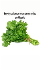 Cilantro manojito (Solamente enviamos en Comunidad de Madrid)