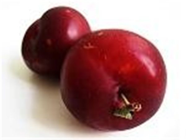 La traducción de "CIRUELA KILO" al alemán es "KILO PFLAUME".-detalle