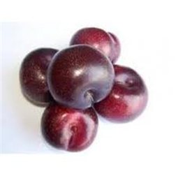 La traducción de "CIRUELA KILO" al alemán es "KILO PFLAUME".