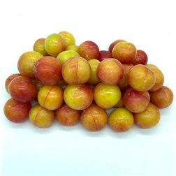 Mayer plums, 1/2 kilo