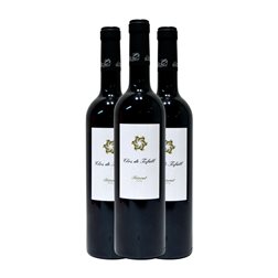 Clos Berenguer Clos de Tafall Priorat 75 cl Vino Tinto (Caja de 3 unidades)