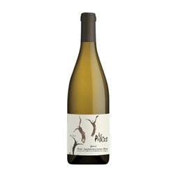 Clos de L'Ecotard Les Pentes Chenin Saumur-Champigny Eco — Ecológico 75 cl Vino Blanco