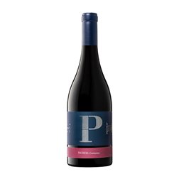 Clos Pachem Pachem Cariñena Seco Priorat Botella Magnum 1,5 L Vino Tinto