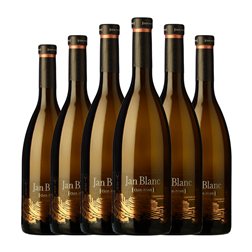 Clos Pons Jan Costers del Segre Crianza 75 cl Vino Blanco (Caja de 6 unidades)
