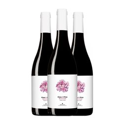 Coca i Fitó Jaspi Maragda Montsant Crianza 75 cl Vino Tinto (Caja de 3 unidades)