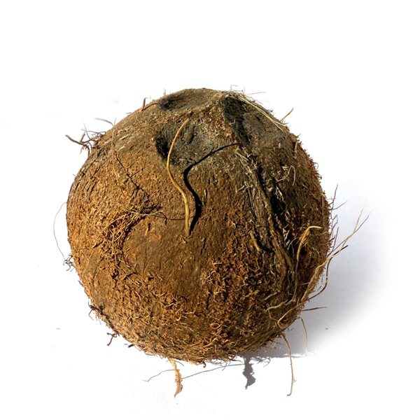 Coco naturel-detalle