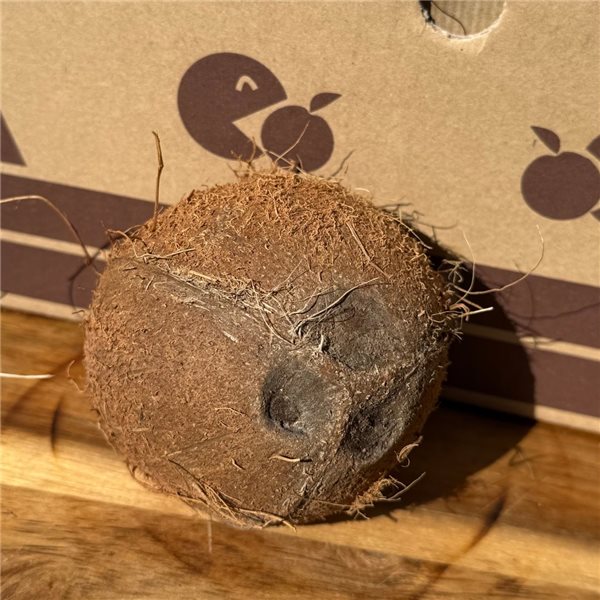 Coco naturel-lateral