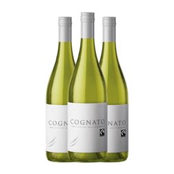 Cognato Chenin 75 cl Vino Blanco (Caja de 3 unidades)