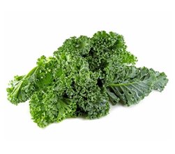 Eco-friendly organic kale - bunch