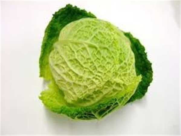 COL FRISÉ MORCEAU-lateral