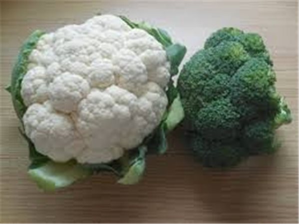 Chou-fleur / Brocoli-trasera