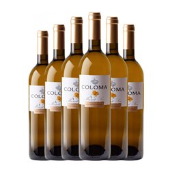 Coloma Moscato Seco Vino de la Tierra de Extremadura 75 cl Vino Blanco (Caja de 6 unidades)