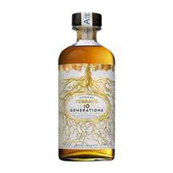 Coñac Pierre Ferrand 10 Genérations Ugni Botella Medium 50 cl