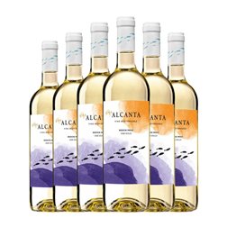 Conde de Alicante Medium Sweet — Semidulce Alicante 75 cl Vino Blanco (Caja de 6 unidades)