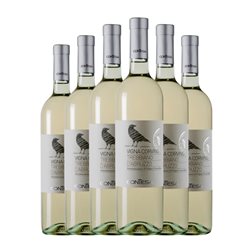 Contesa di Rocco Pasetti Linea Vigna Corvina Trebbiano d'Abruzzo 75 cl Vino Blanco (Caja de 6 unidades)