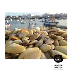 Coquinas de Isla Cristina - Del Mar en tu Mesa 500 grs