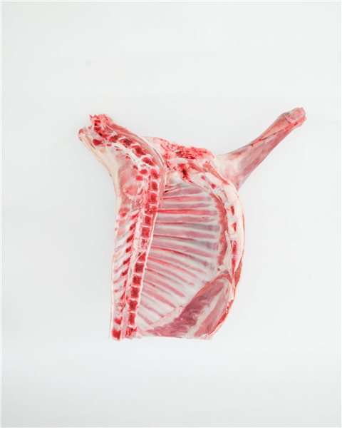 Fresh front quarter of suckling lamb-detalle