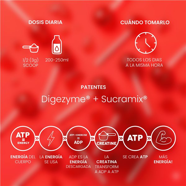 Créatine Mesh 200 Lollipop 300g-izquierda