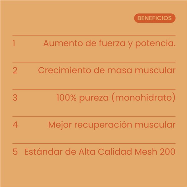 Creatine Mesh 200 Mango Rush 300g-lateral