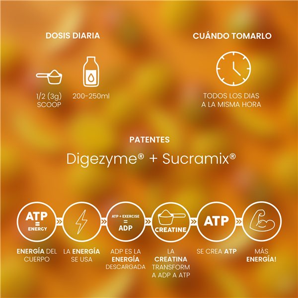 Creatine Mesh 200 Mango Rush 300g-trasera