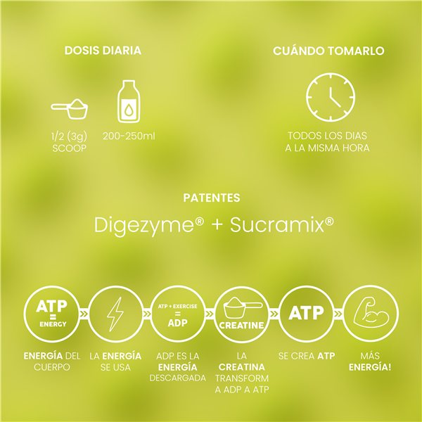 Creatin Mesh 200 Melone Kaugummi 300g-trasera