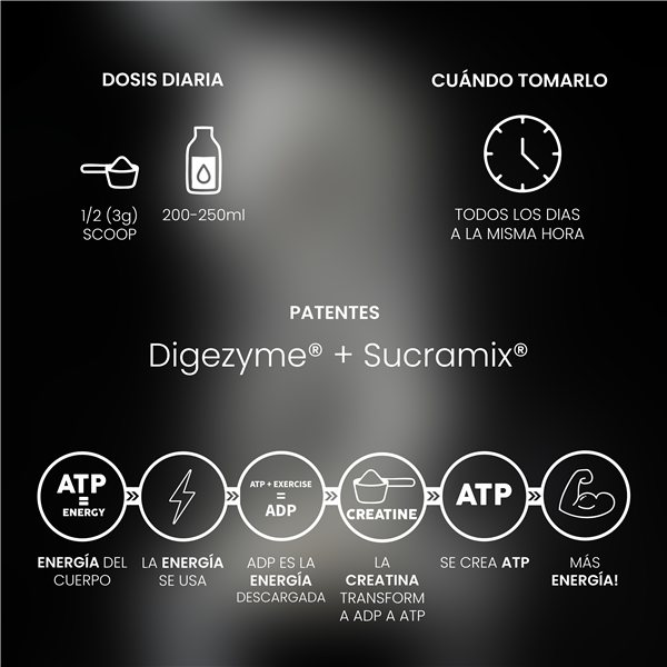 Créatine Mesh 200 Neutre 300g-trasera