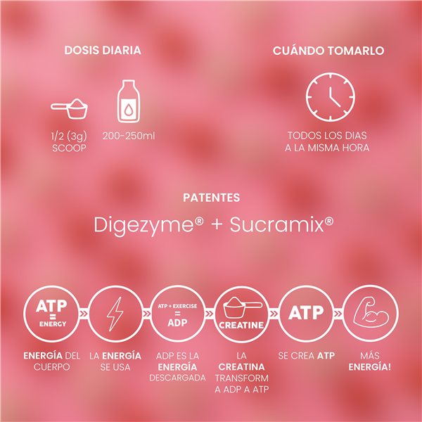 Creatina Mesh 200 Strawberry & Cream 300g-trasera