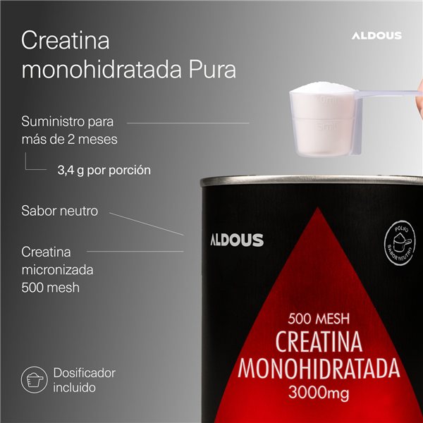 Creatine Monohydrate Powder 500mesh - Creatine Monohydrate +80 Days GYM-detalle