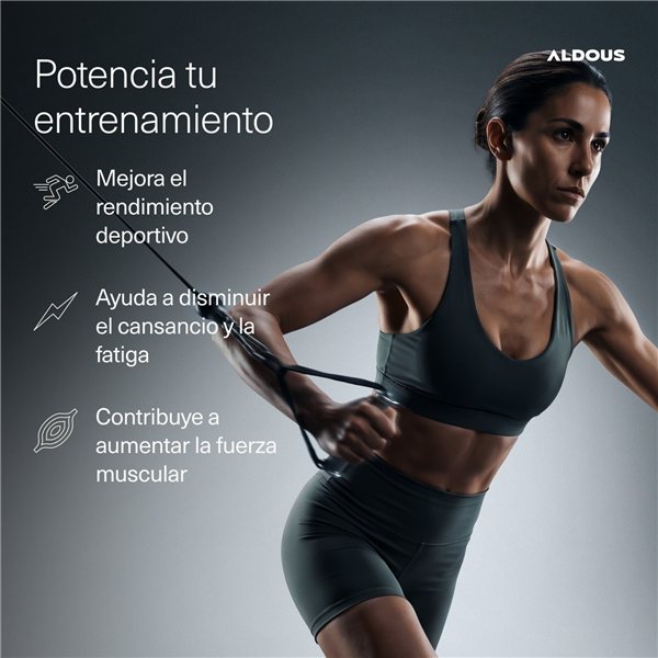 Creatine Monohydrate Powder 500mesh - Creatine Monohydrate +80 Days GYM-trasera