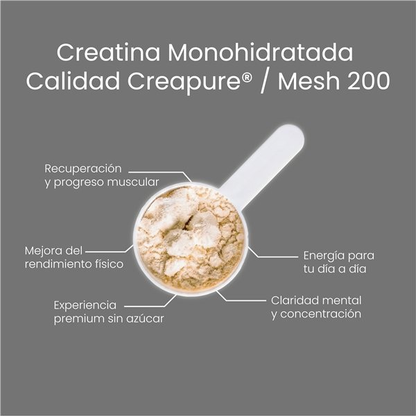 Neutral Creatine-trasera