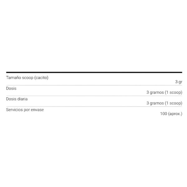 Creatine Monohydrate 200 MESH Ultra Micronized 300 Gr-detalle