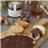 Crème de noisettes au miel et au cacao, Alemany1879-trasera