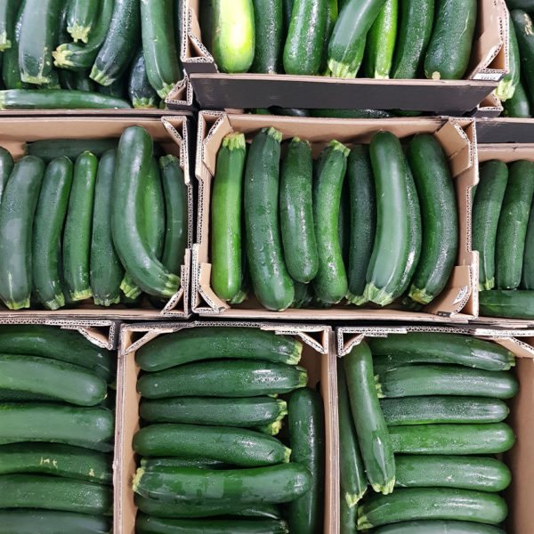 Crème de courgette bio 490 ml – Casa Amella-detalle