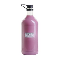 Crema de Licor Antonio Nadal Aguascalientes Botella Especial 3 L PET Ágave, Fresa