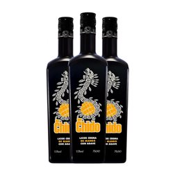 Tequila Sinc Que Chido Crema 70 cl Ágave, Mango, Tequila (Caja de 3 unidades)