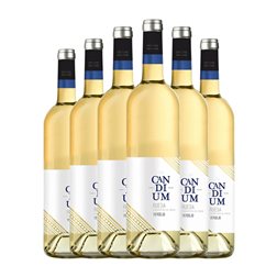 Cuatro Rayas Candium Verdejo Rueda 75 cl Vino Blanco (Caja de 6 unidades)