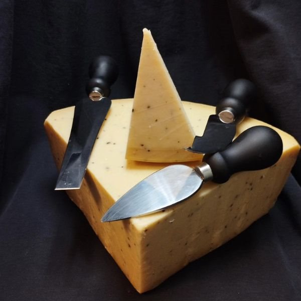 Bûche de fromage Parmigiano Reggiano à la truffe noire-detalle