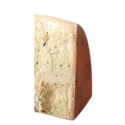 Bûche de fromage Parmigiano Reggiano à la truffe noire