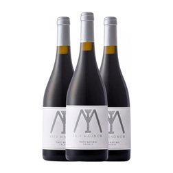 Cup de la Muntanya Ibis Magnum Cabernet Franc Seco Alicante Natural Crianza 75 cl Vino Tinto (Caja de 3 unidades)