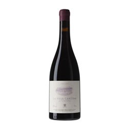 Damm La Vieja Cantina Mencía Ribeira Sacra 75 cl Vino Tinto