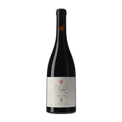 Damm Vidal de la Viña Cazoga Ribeira Sacra 75 cl Vino Tinto