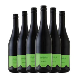 De Angeli Musti Nobilis Frizzante — Espumoso de Aguja 75 cl Espumoso Blanco (Caja de 6 unidades)