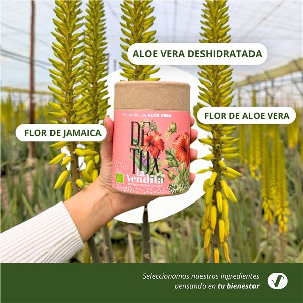 Detox Infusión con Aloe vera puro ecológico-lateral