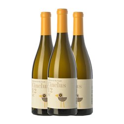 DG Cinclus SC Penedès Crianza 75 cl Vino Blanco (Caja de 3 unidades)
