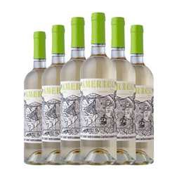 Díez Gómez Americo Verdejo Seco Toro Sobre Lías 75 cl Vegano Vino Blanco (Caja de 6 unidades)