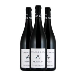 Domaine Anita Château Gaillard Gamay Morgon 75 cl Vino Tinto (Caja de 3 unidades)