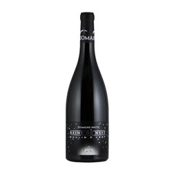 Domaine Anita Reine de Nuit Gamay Moulin à Vent 75 cl Vino Tinto